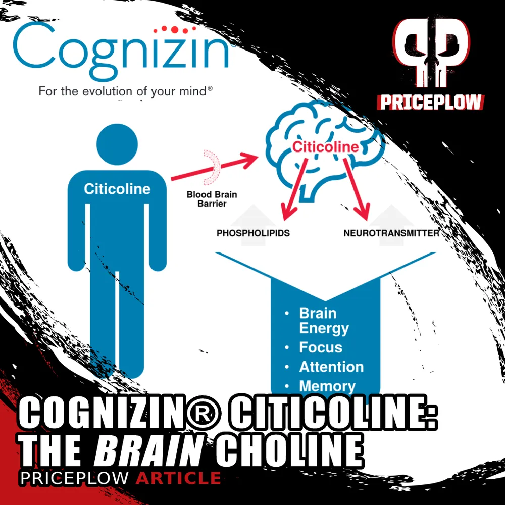 Cognizin citicoline diagram showing brain choline, phospholipids, neurotransmitters, focus, attention, and memory.