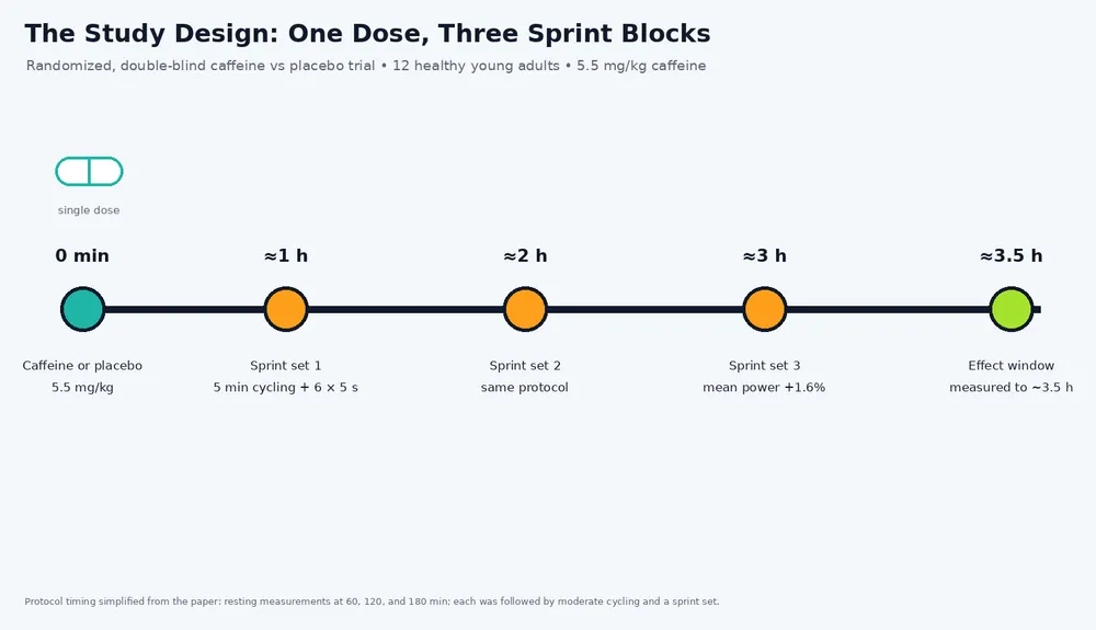 One Dose, Hours of Performance: Caffeine's Sprint Benefits Persisted for 3.5 Hours pre exercise caffeine study timeline