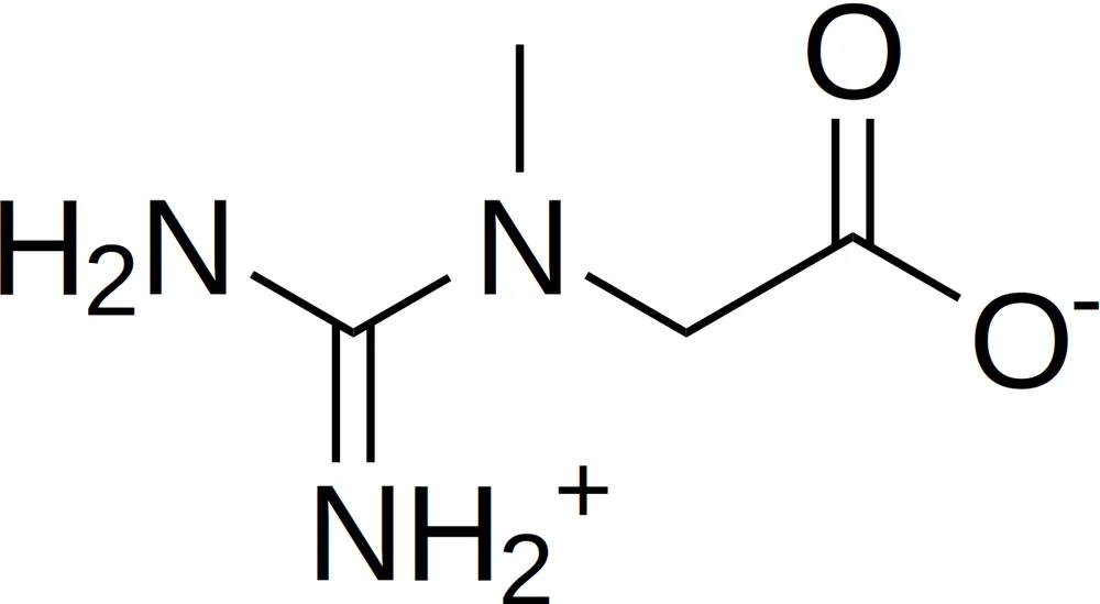 Chemical structure diagram of the creatine molecule